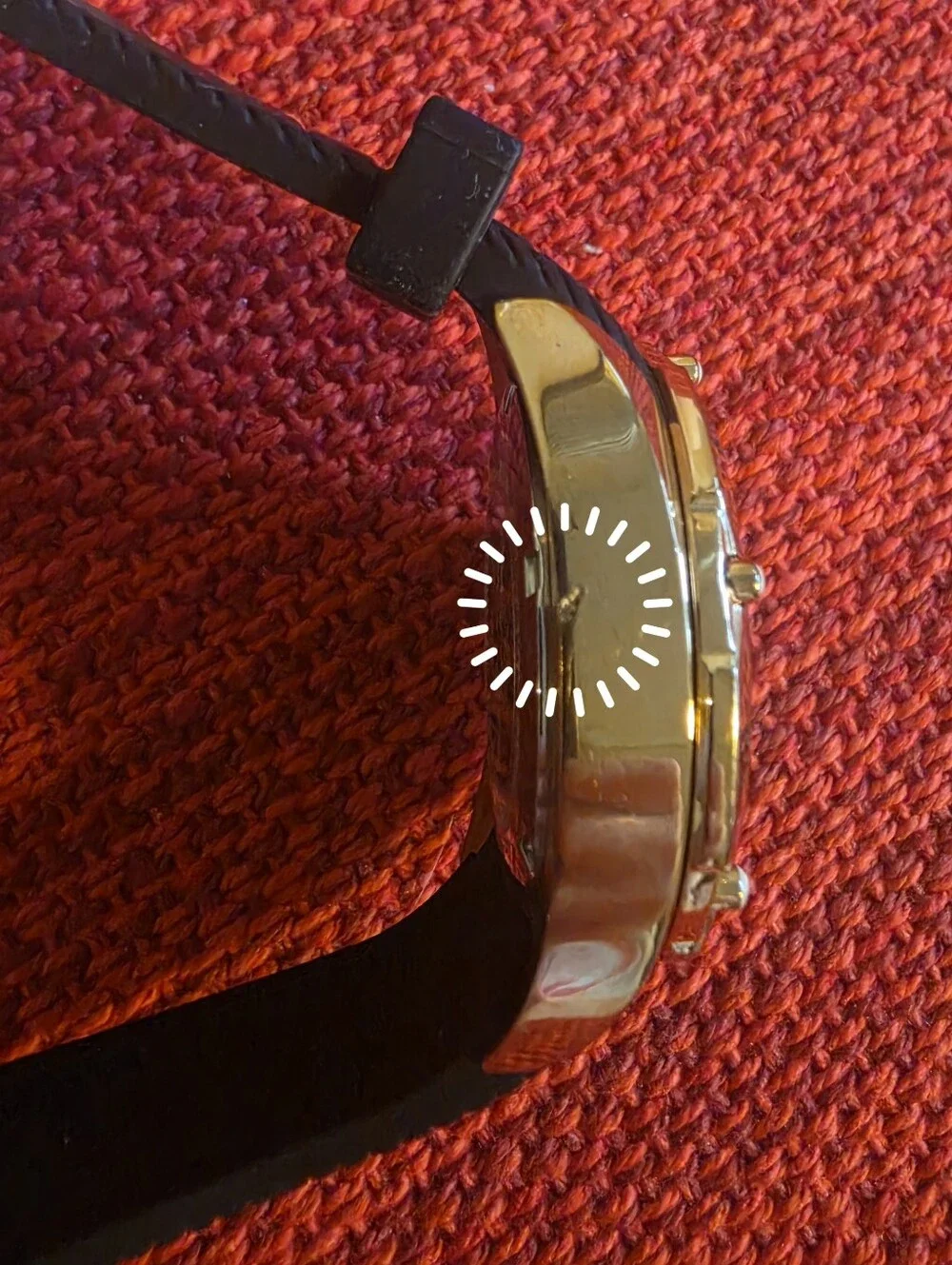 Invicta super cute